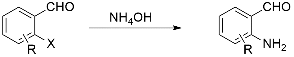 Reaction scheme for the amination reaction